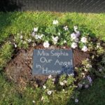 Grave marker for a much loved cat called Sophia.